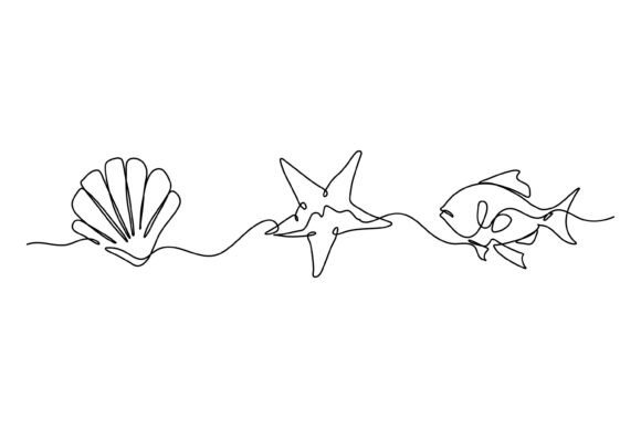 Continuous Line Design of Shells: Graphics & Illustrations