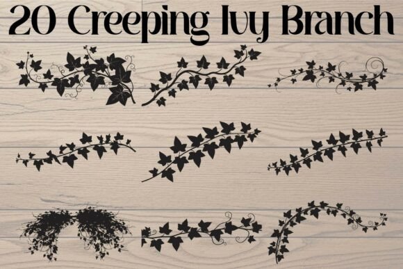 Creeping Ivy Branch Silhouette