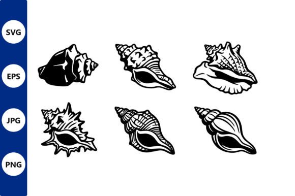 Seashell Vector Line Art Set for Crafts: Graphics & Illustrations