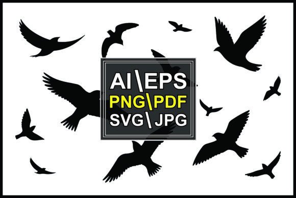 Silhouettes of Flying Birds Positions Graphics